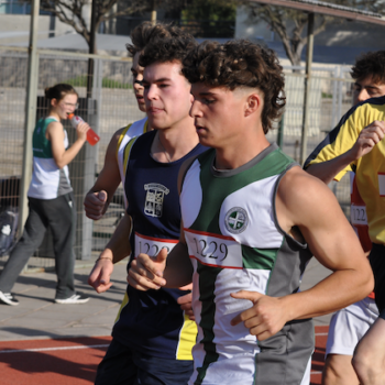 Captura de pantalla 2025-10-06 a la(s) 1.13.04 a. m.